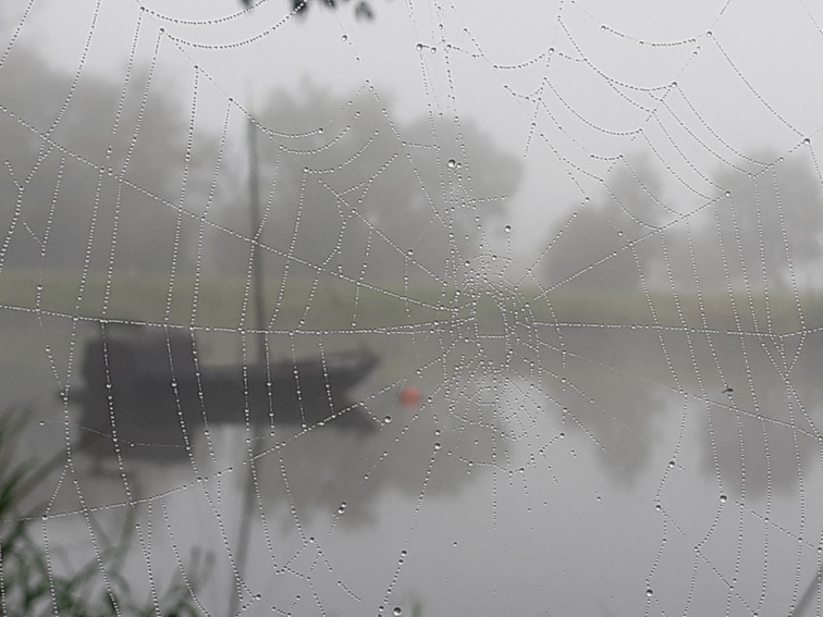 a20fb7b9-c673-4c35-a2f1-526786416e24