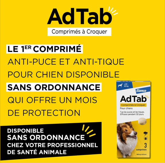 c8677c67-8aae-4ddf-92dc-fba66974fc50