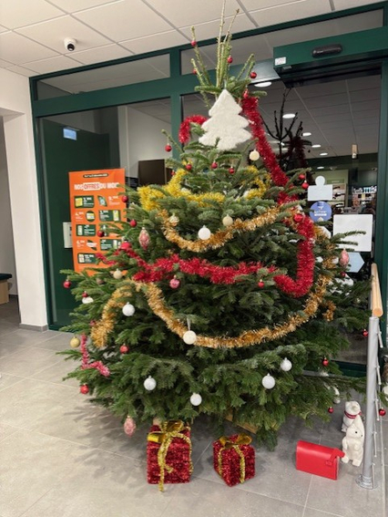 ac24d6a4-479b-4a2a-9899-bd9141e193cc