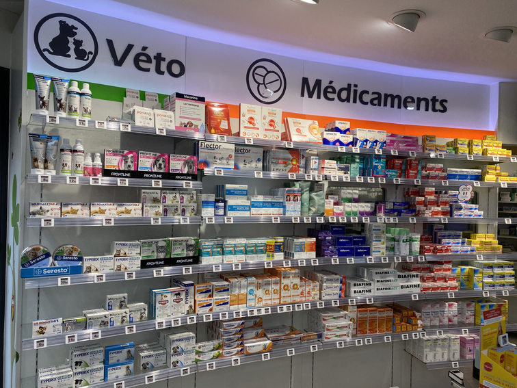 3efbe3b1-cc7f-49f7-b10c-84bd190f3b95