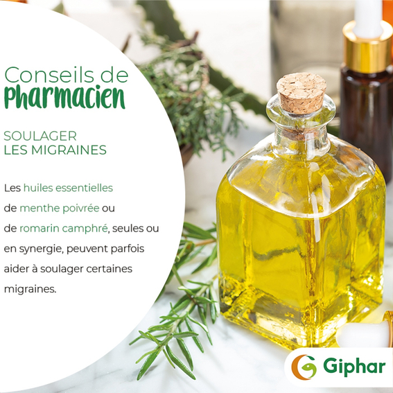 1466adbe-e9bf-4e4d-b762-b637a961f2dc