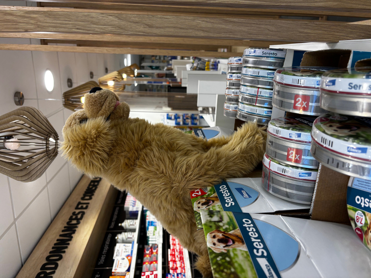 4dc3436e-e60e-4cb9-8e3a-d1431c241856