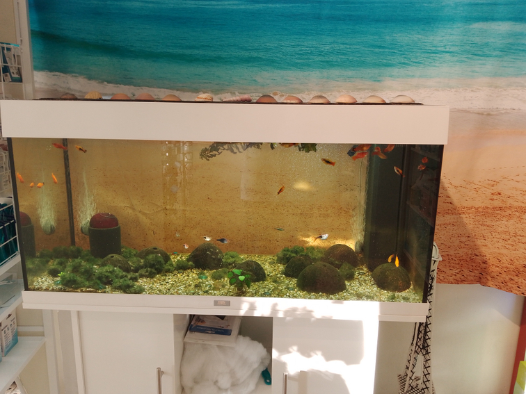 8ae8d20b-c0d7-4940-b306-2de0d43962de