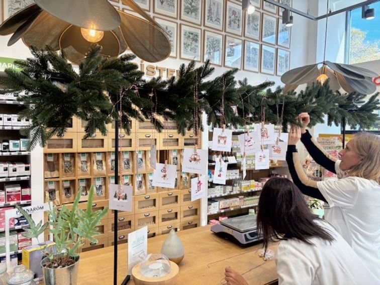 c059e544-4460-478a-a276-91a2f698c890