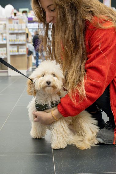 b4de2884-c543-41fa-b3c8-0f1ad34cfbee