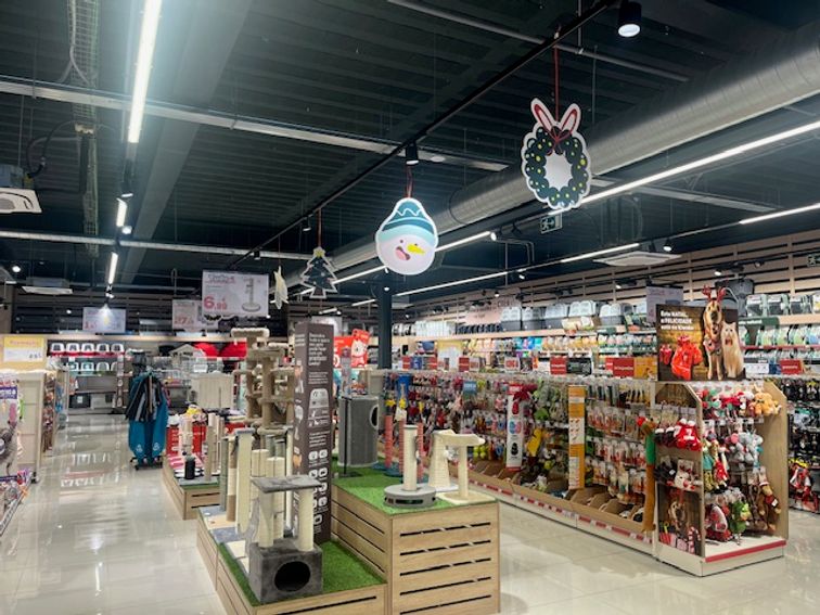 6e38b6b9-e0e4-4bb0-aeab-e27b579299f6