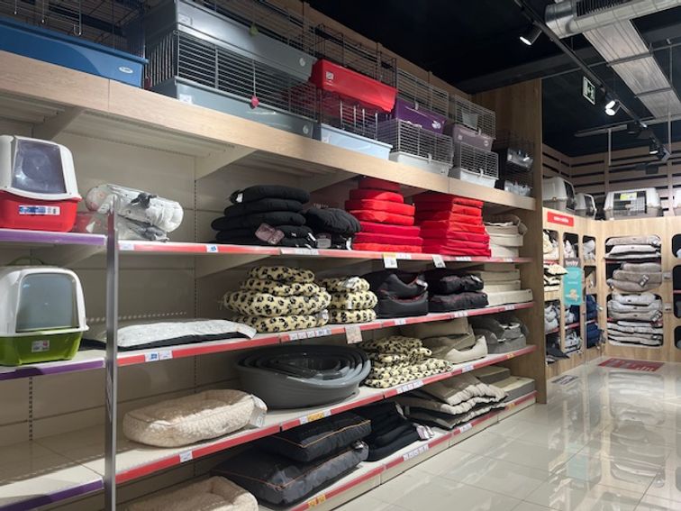 d60ed20a-5307-41a1-847d-20805745b809