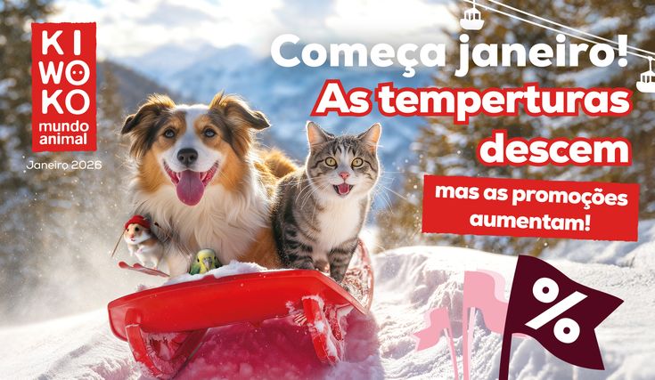 1ad9e75b-c835-4a54-9f70-ddbb25a5a0bf