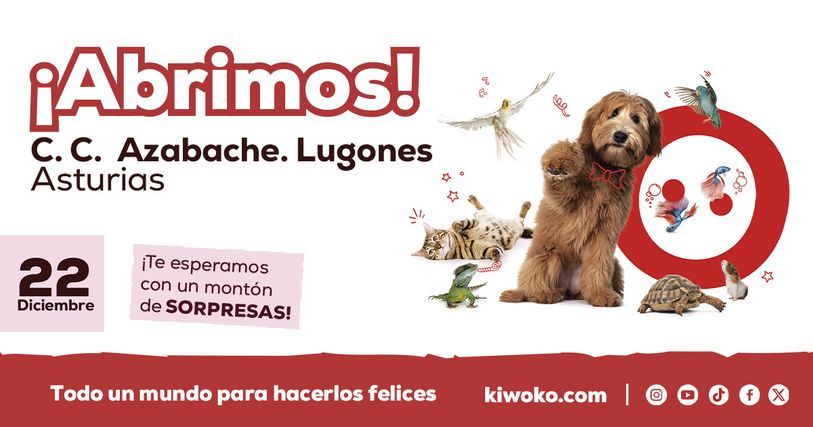 97abd352-e97d-4145-9a7d-108f454050a3