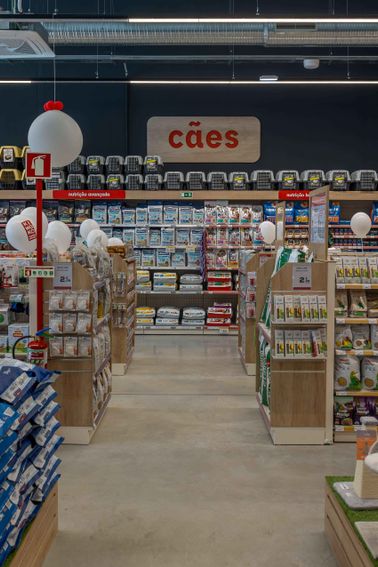 a461813a-22fd-4b21-b307-1120ebb82d82