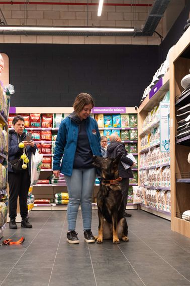 ddb10b98-f7d8-45cd-93bf-40eaeadd8b10