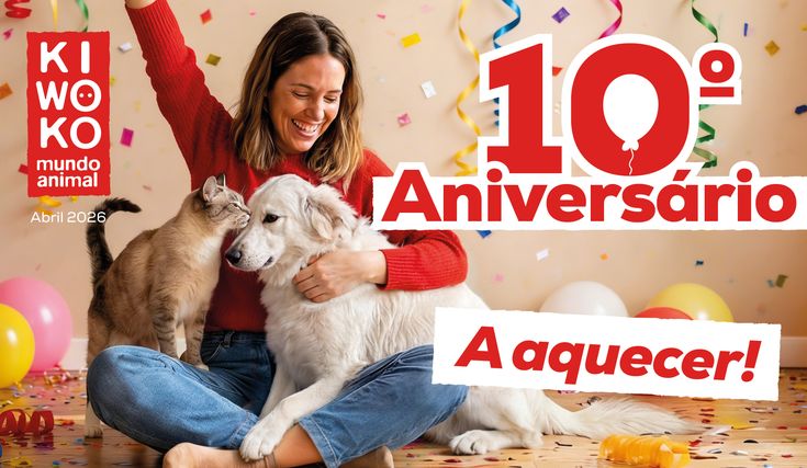 6f7af6cd-a1b1-4fae-924f-b4bddfac2dce