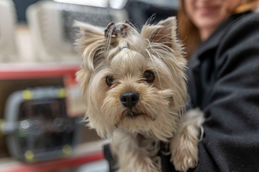 1792653a-f4a4-493f-ab04-e8415d907d1a