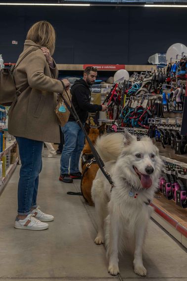 3408d40f-54cb-41fc-9994-cca62268bc64