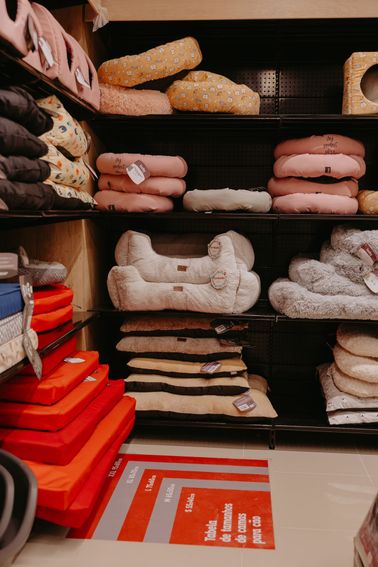 fc1ee312-6248-4827-981a-9cdf261b4b91