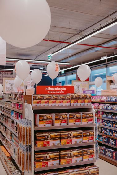 19cca185-c2d2-42b0-8cd0-c78c5c65a91c