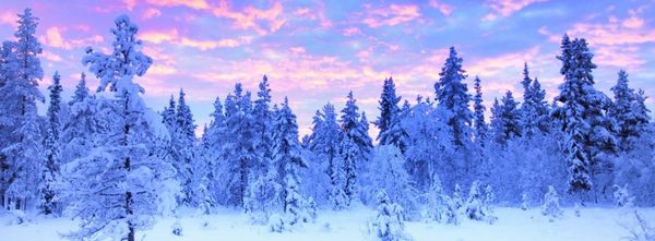 690de57a-c742-4007-b187-d3f9b1964fbe