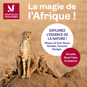 3db70de7-2da2-480d-af8e-15acdfdbca73