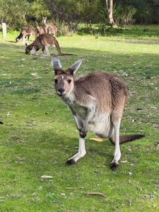 1d24c048-29a8-419c-b64f-526d69da67ee