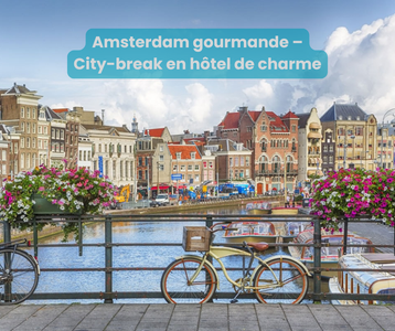 24e8e582-1e46-4e19-aaf0-3c19cb1c6a51