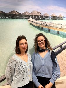 fe452e29-9f9a-47ea-831a-c79311fd5c64