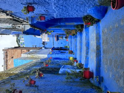 6d149721-e390-434e-95d0-80a64a0afdaa