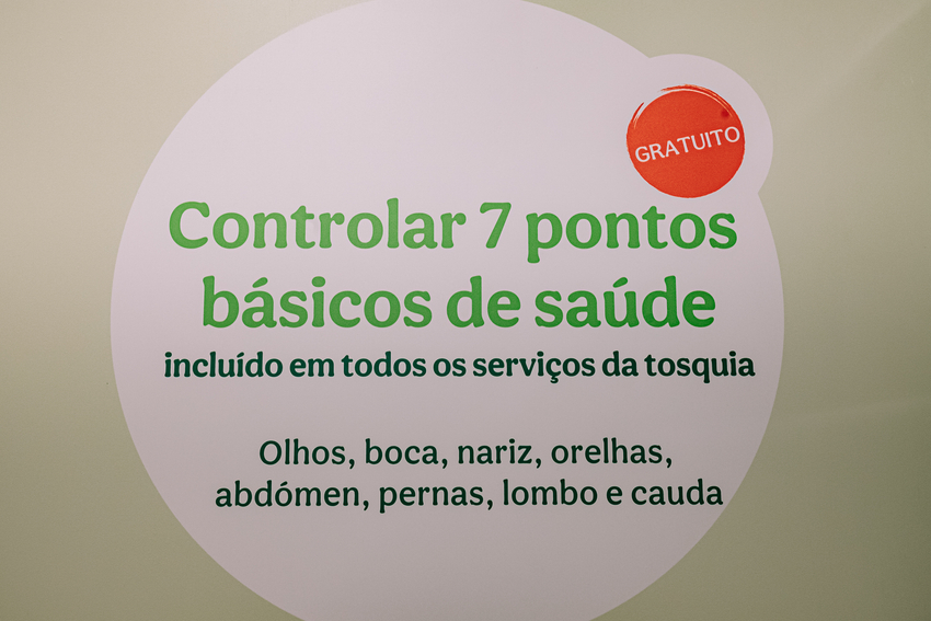 560772e6-ec6c-485d-9d7b-506416c4efca