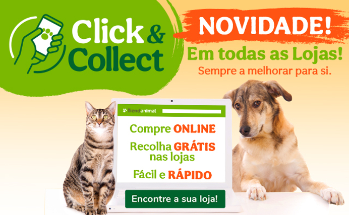 3b3fef17-de9d-4c8c-aec3-184284ef6e79