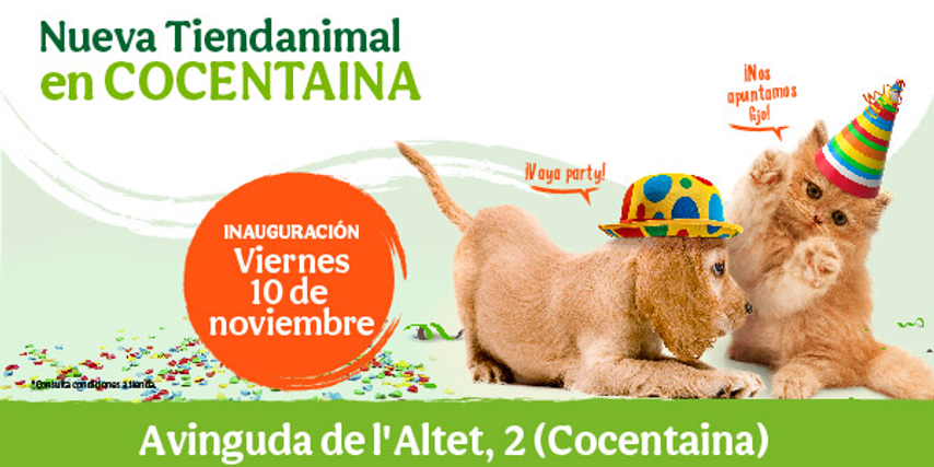 cc973dcd-6c48-4aef-8cea-e389880c3b1c
